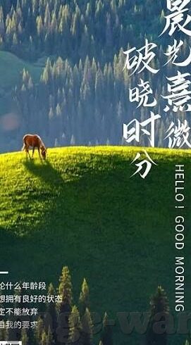 镇江星空体育-星空下的镇江体育，复古美学与活力的碰撞